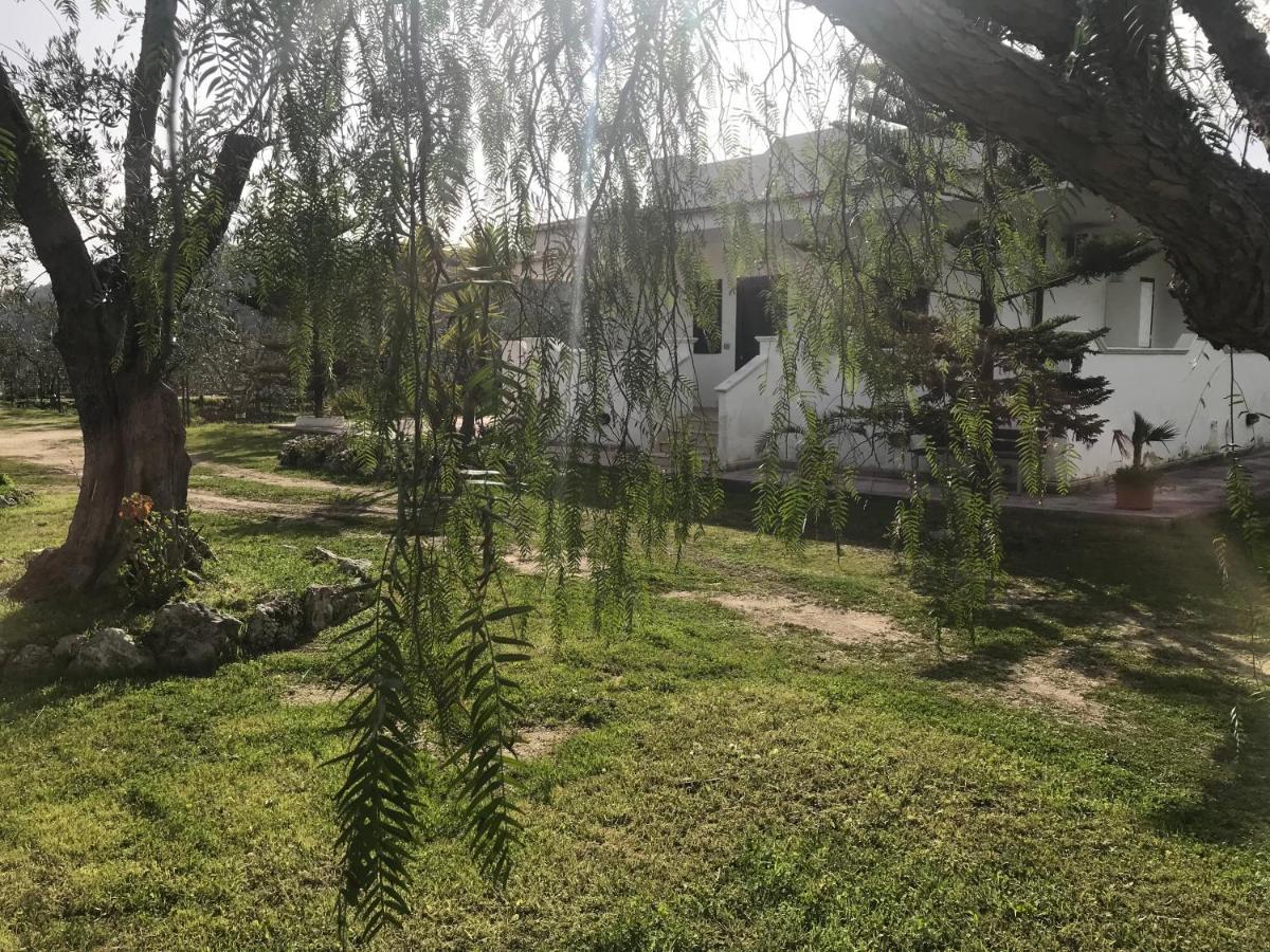 Villa Angela Case Vacanza В'єсте Екстер'єр фото