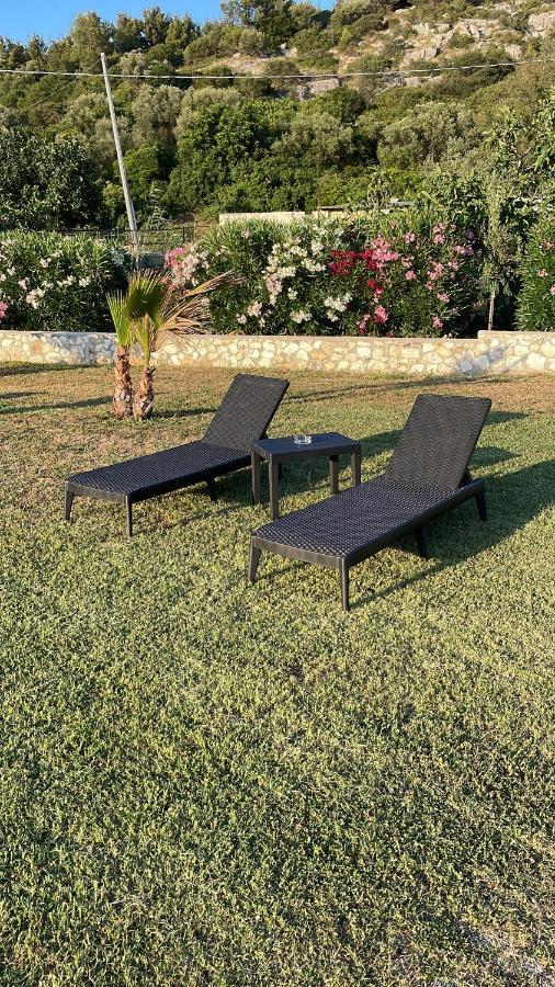 Villa Angela Case Vacanza В'єсте Екстер'єр фото