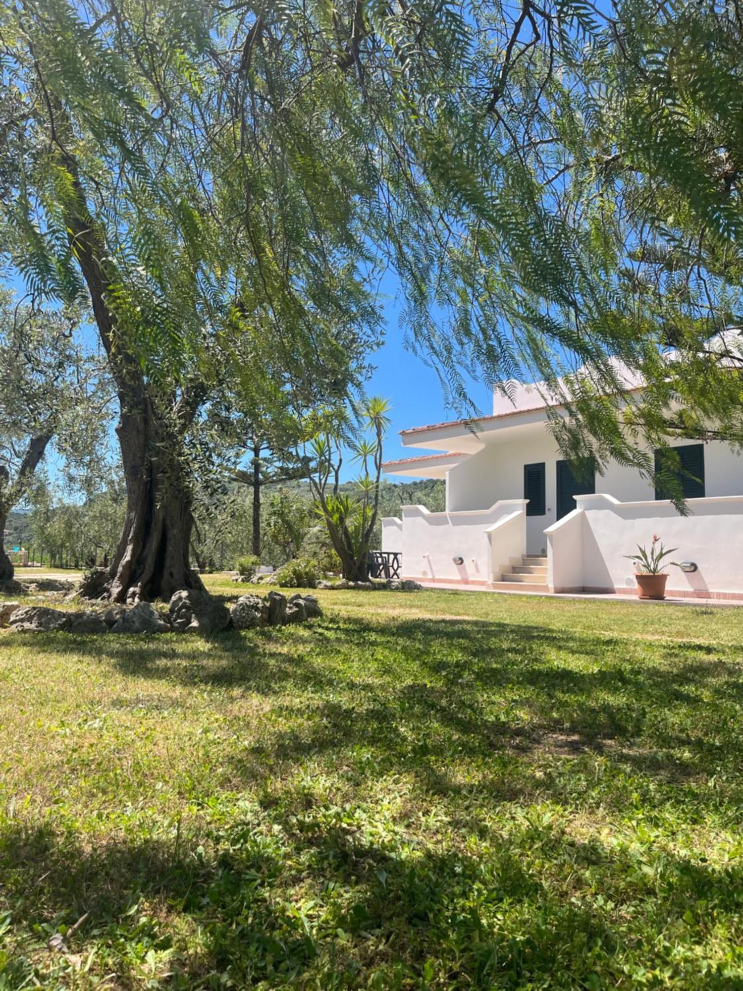 Villa Angela Case Vacanza В'єсте Екстер'єр фото